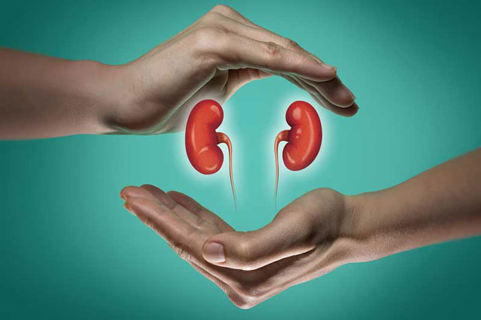 نفرولوژیست کیست؟