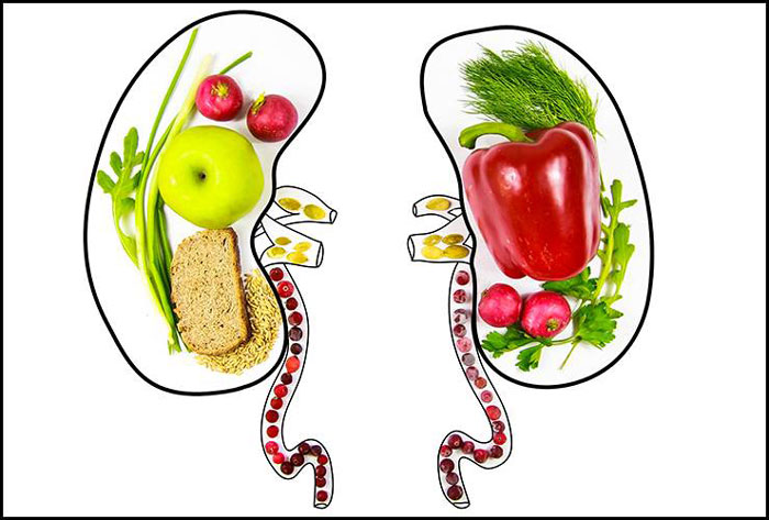 اهمیت تغذیه بعد از پیوند کلیه چیست؟