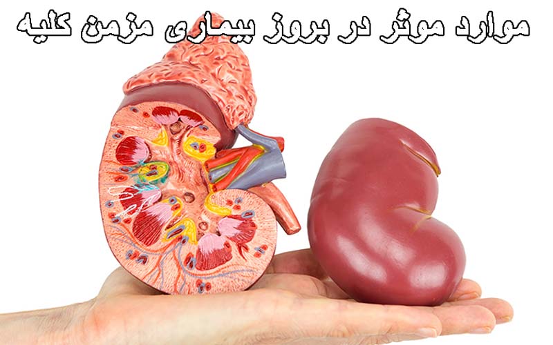 موارد موثر در بروز بیماری مزمن کلیه